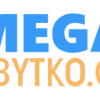 Partner: MegaUbytko